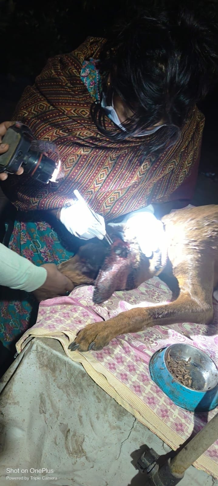 Daily animal care